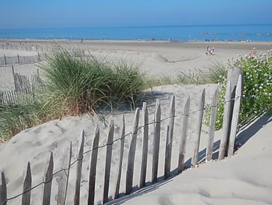 Le Tréport Logement A Deux Pas De La Plage Et Des Commerces מראה חיצוני תמונה